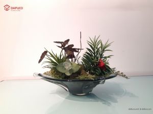 ĐĨA HOA THỦY TINH